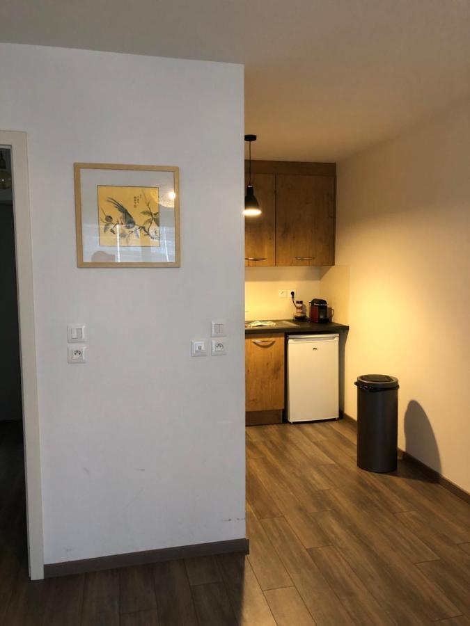 Apartmán F2 Cote Ugc Climatise Plein Centre Parking Gratuit Štrasburk Exteriér fotografie